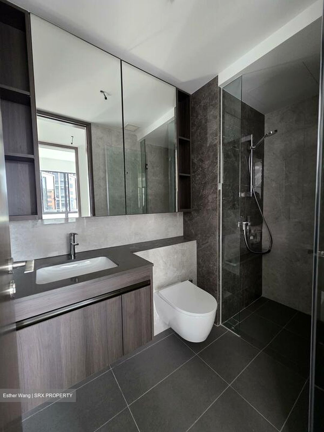 Tembusu Grand (D15), Condominium #524077291